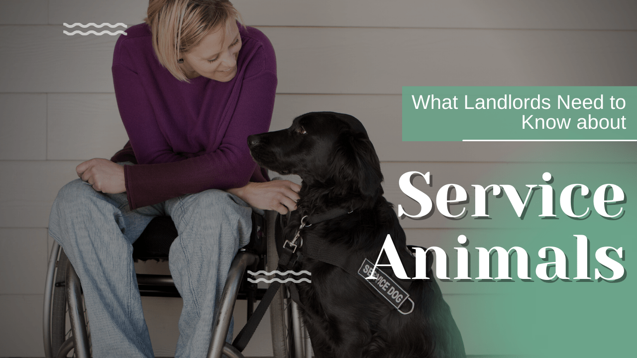 What Charlotte Landlords Need to Know about Service Animals